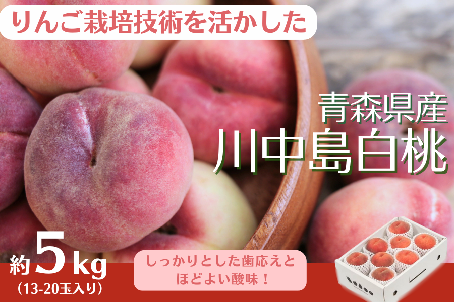 y50zX̓I쒆5kg(13~20)