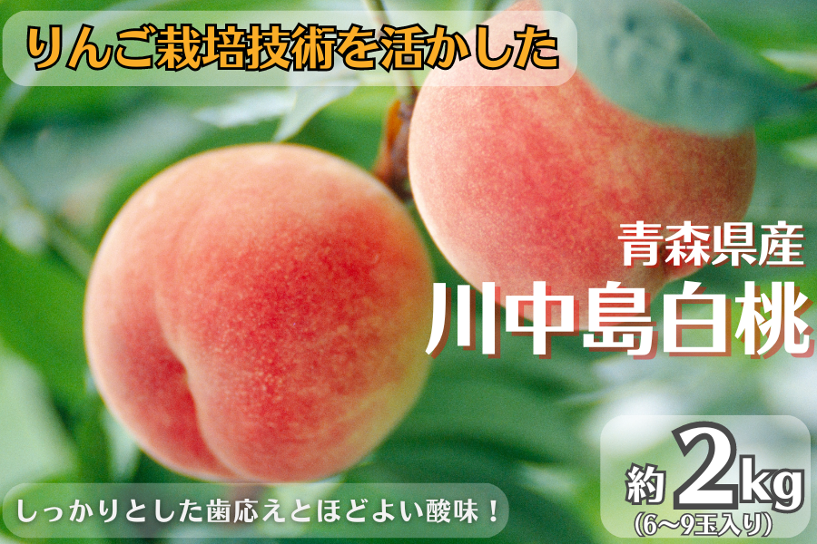 y50zX̓I쒆2kg(6`9ʁj