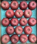 qlSȂypzTӂPOkgiARQ`RUʁjJAX