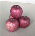 qlSȂypzTӂTkgiAPU`PWʁjJAX