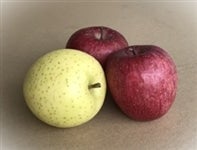 qlSȂypzTӂ× 10kgi32`36ʁjJAX