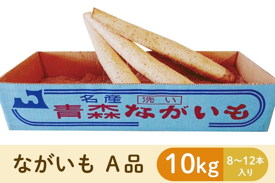 当店限定販売 鯉のぼり キング印 山本 こいのぼりセット ニューサテンゴールド ２ｍ 祥龍吹流し スタンドセット 139730507