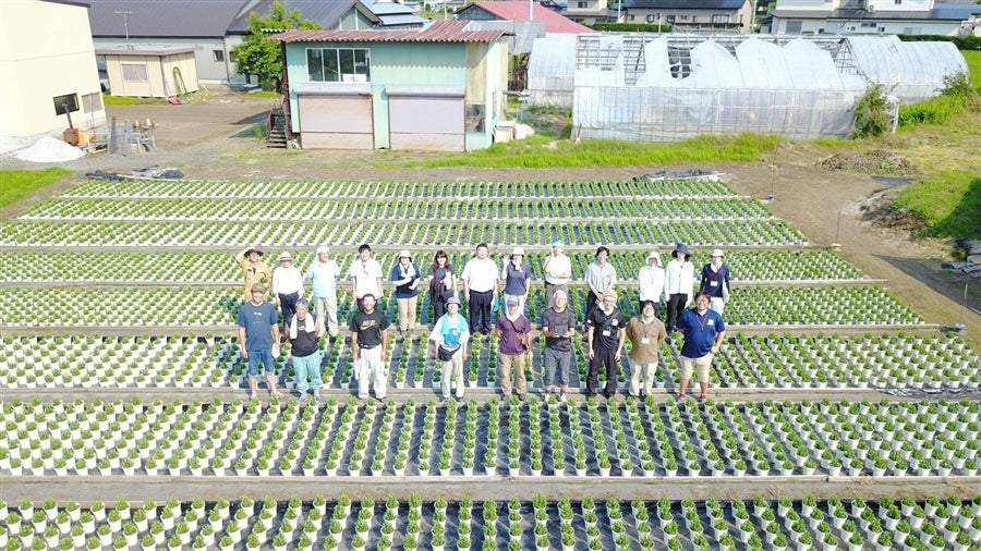 産地直送 通販 お取り寄せ 花巻ブルーシリーズ 切花リンドウ いわて純情館 ｊａタウン