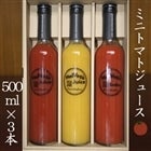 ~jg}gExWvXW[XrSSvC500mleg3{