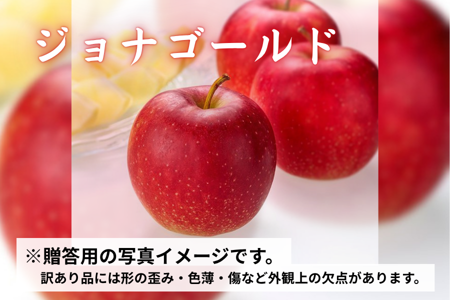 訳あり]ジョナゴールド約5kg(14～20玉)10月下旬～順次発送 江刺りんご
