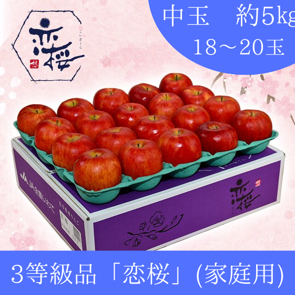 中玉(18～20玉)】恋桜～傷ついた恋～約5kg【3等級品】江刺りんご【家庭