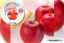 [�󂠂�]�W���i�S�[���h��5kg(14�`20��)10�����{�`���������@�]�h���