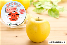 [�󂠂�]�V�i�m�S�[���h��10kg(28�`40��) 12�����{�`���{���ɏ�������