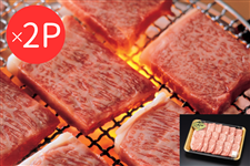 [A5N]]h[X(ēp)400g×2pbN
