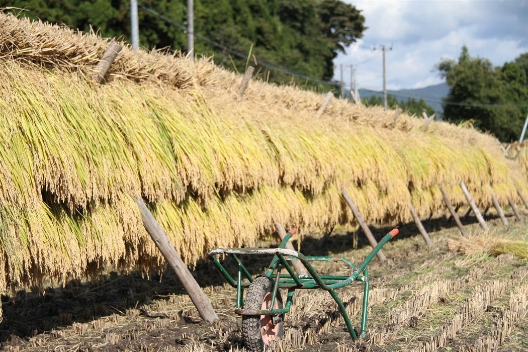 ]hDĂЂƂ߂ڂV@͂@قɂ