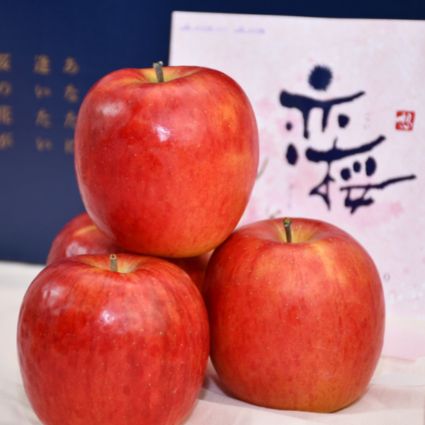 �����@���B���}��