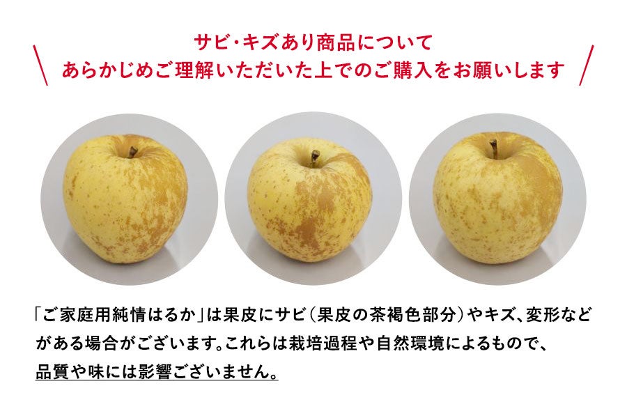 純情はるか(ご家庭用)5kg