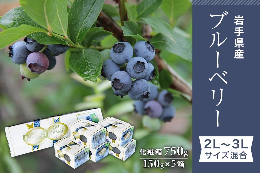 岩手県産ブルーベリー 2L～3Lサイズ混合 化粧箱750g: いわて純情
