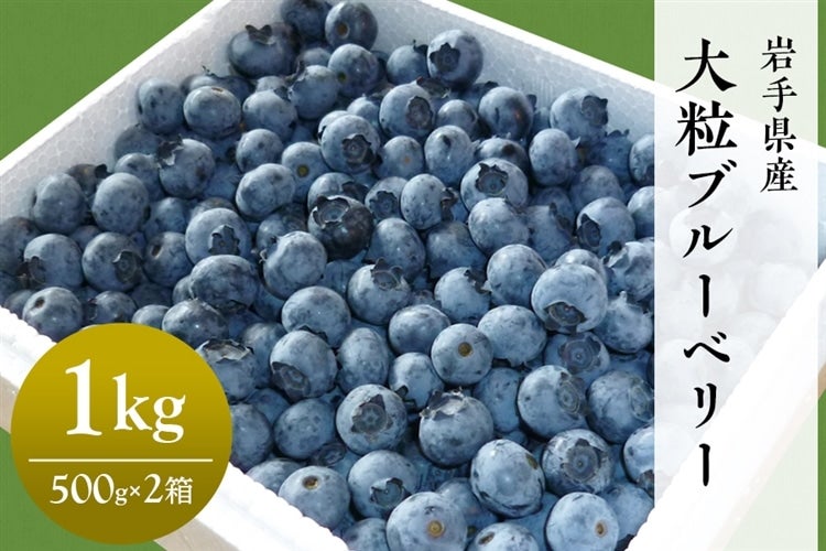 予約商品】岩手県産大粒ブルーベリー 1kg: いわて純情セレクト|【ＪＡタウン】産地直送 通販 お取り寄せ