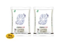 yߘa7NYẑЂ Skgi2kg×2)