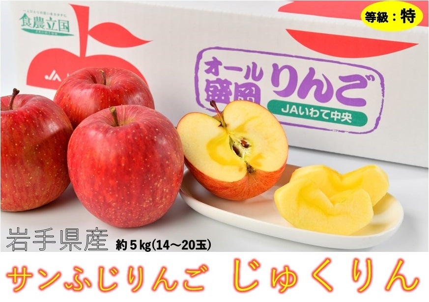 yƒpz茧YwTӂ キxFTs