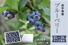 岩手県産ブルーベリー 2L～3Lサイズ混合 発泡箱1kg: いわて純情