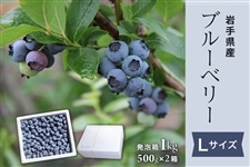 岩手県産ブルーベリー Lサイズ 発泡箱1kg: いわて純情セレクト|【JA