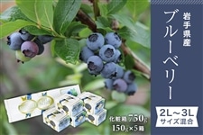 岩手県産ブルーベリー 2L～3Lサイズ混合 化粧箱750g: いわて純情