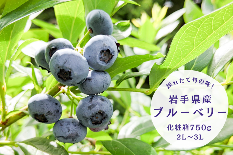 茧Yu[x[ 2L`3LTCY ϔ750g