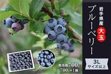 ブルーベリー|【JAタウン】産地直送 通販 お取り寄せ