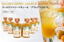 �S�[���f���x���[���L���[���uAUREA TROPICA�v200ml�@6�{����