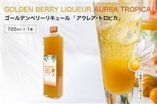 �S�[���f���x���[���L���[���uAUREA TROPICA�v720ml�@1�{����