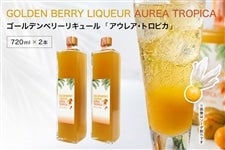 �S�[���f���x���[���L���[���uAUREA TROPICA�v720ml�@�Q�{����