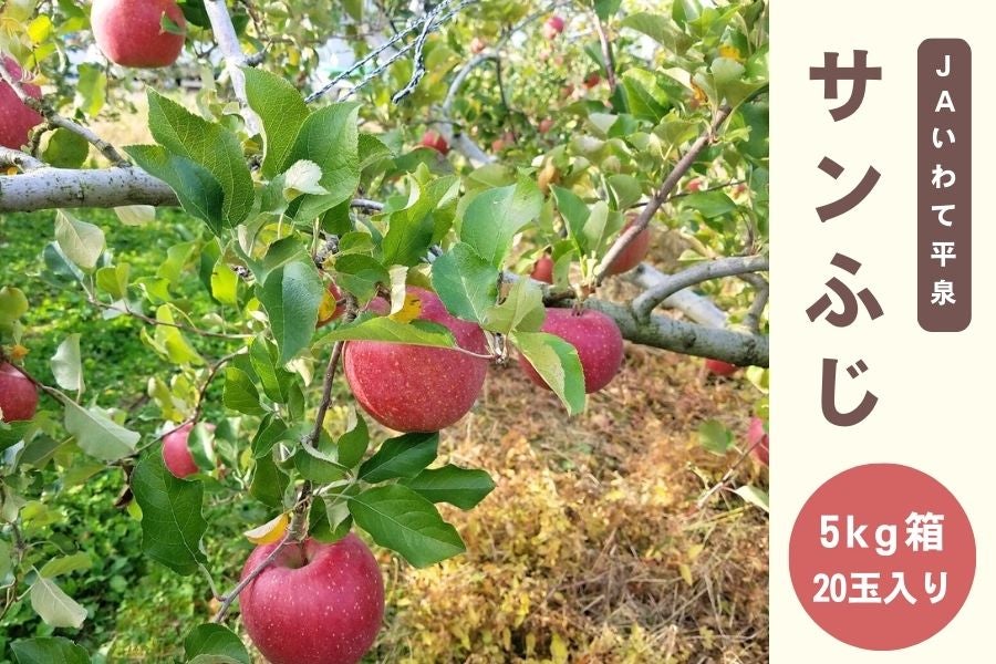 JAいわて平泉 岩手県産サンふじ5s(20玉)