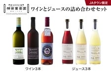 JA^E@储߁@CƃW[X̋lߍ킹6{Zbg