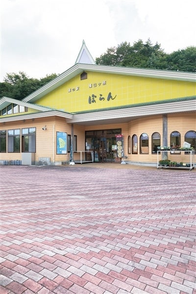 【住田町・住田観光開発株式会社】住田鶏ハラミらーめん（6ヶセット）