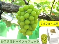 【予約商品】JAいわて花巻産シャインマスカット (750g)