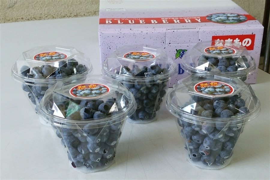 ブルーベリー(生果)