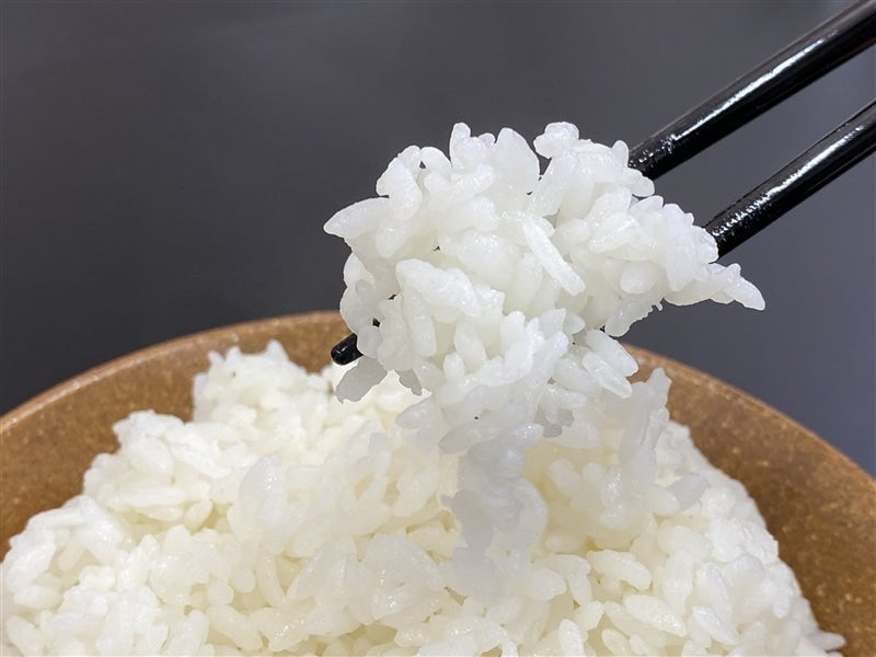 夏の贈り物】□令和5年産□ササニシキ5kg 精米 宮城県産(JA 夏の贈り物】□令和5年産□ササニシキ5kg 精米 宮城県産(JA