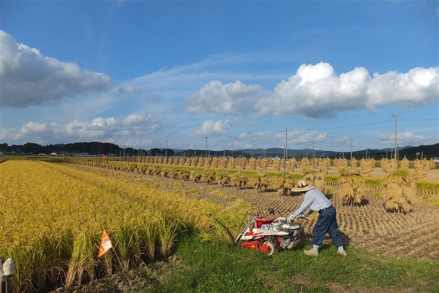 産地直送 通販 お取り寄せ『新米』精米 令和４年産宮城登米産ひとめぼれ 5kg: タウンショップみやぎ|ＪＡタウン
