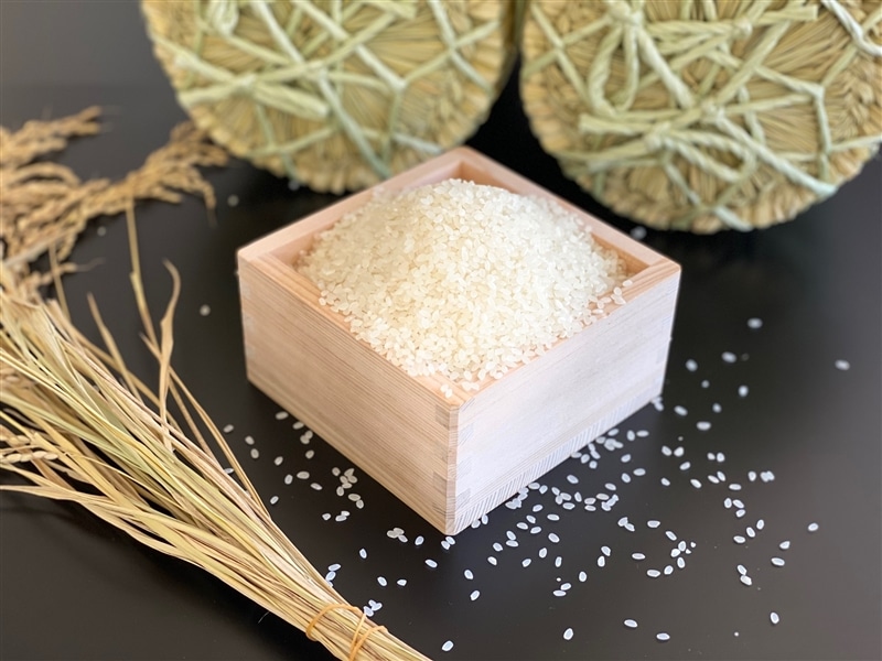 期間限定】300g増量！環境保全米 □令和7年産□ひとめぼれ5kg 精米