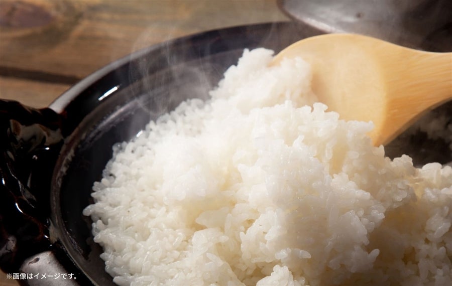 産地直送 通販 お取り寄せパックご飯 だて正夢: タウンショップみやぎ|ＪＡタウン