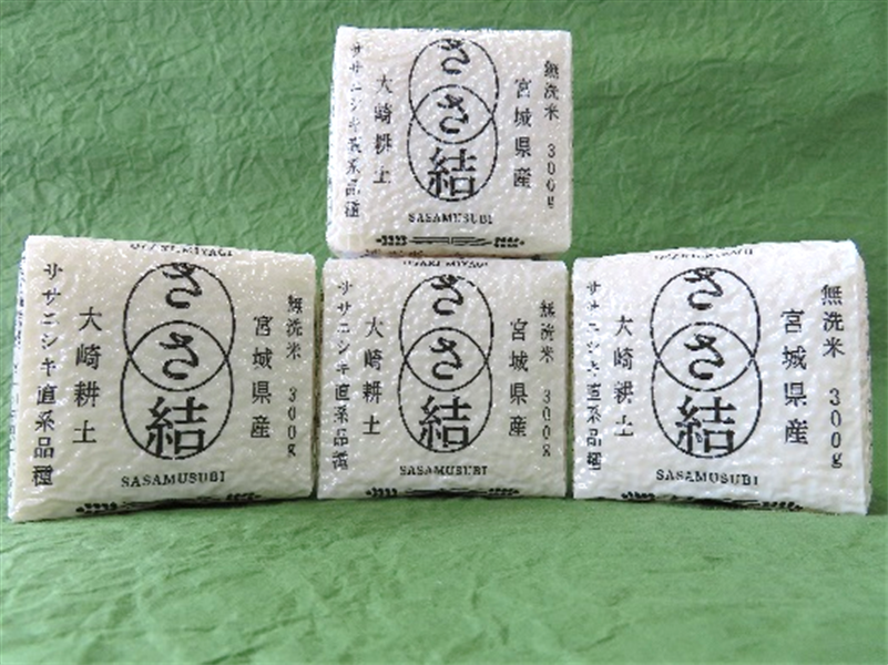 母の日】「ささ結」真空パックキューブ 300g×4個 無洗米 令和4
