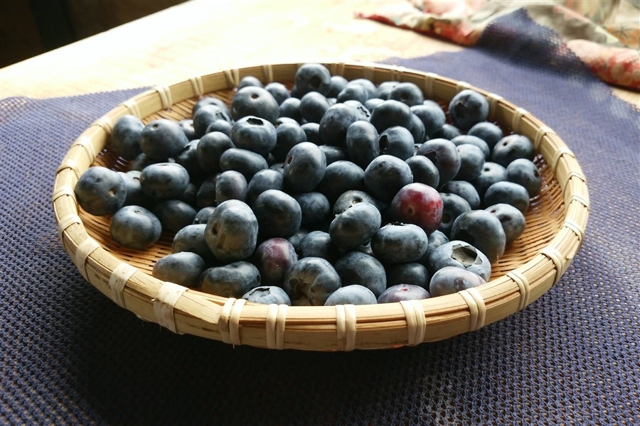 ブルーベリー(生果)