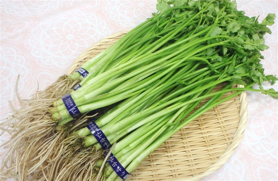 産地直送 通販 お取り寄せ仙台せり 2kg タウンショップみやぎ jaタウン 産地直送 通販 お取り寄せ仙台せり 2kg タウンショップみやぎ jaタウン