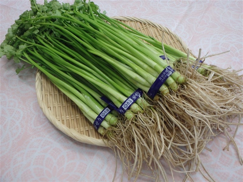 産地直送 通販 お取り寄せ仙台せり 1kg タウンショップみやぎ jaタウン 産地直送 通販 お取り寄せ仙台せり 1kg タウンショップみやぎ jaタウン