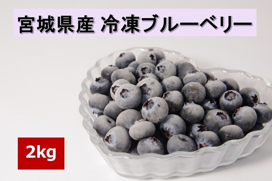 冷凍ブルーベリー　【加工用】　2kg　果物