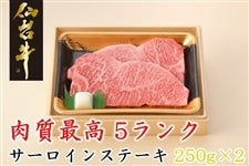 【肉の日限定価格＆送料負担なし】 肉質最高５ランク仙台牛サーロインステーキ250g×2枚