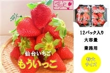 2201-ichigo.jpg