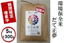 �y���Ԍ���z300g���ʁI���ۑS�� ���ߘa�V�N�Y�����Đ����Tkg ���� �{�錧�Y