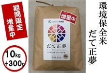 �y���Ԍ���z300g���ʁI���ۑS�� ���ߘa�V�N�Y�����Đ���10kg ���� �{�錧�Y
