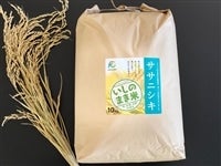 �y���̓��z ���ۑS�� ���ߘa�V�N�Y���T�T�j�V�L10kg ���� �{�錧�Y
