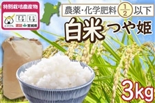 �y���ʍ͔|�āz�{�錧�o�Ďs�Y�@��P�@����3kg