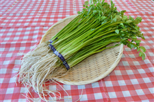 䂹 1