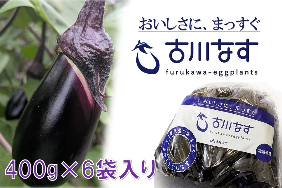 古川なす 400g×6袋入り: タウンショップみやぎ|【JAタウン】産地直送